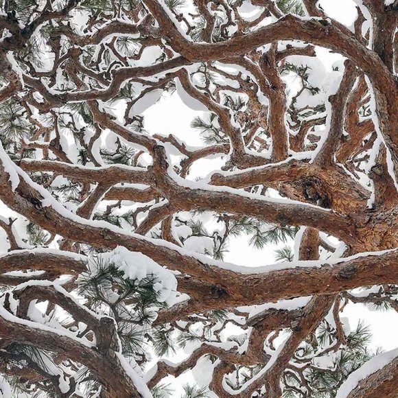 Meet your Posher, Jeremy - Picture 1 of 1